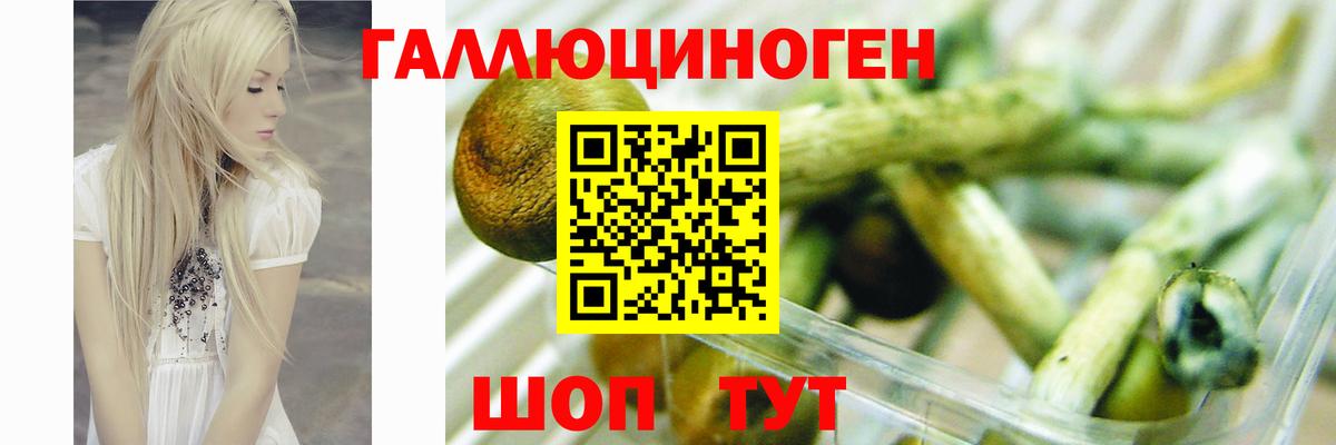 Юрга  Галлюциногенные грибы Magic Shrooms  Вход с VPN 